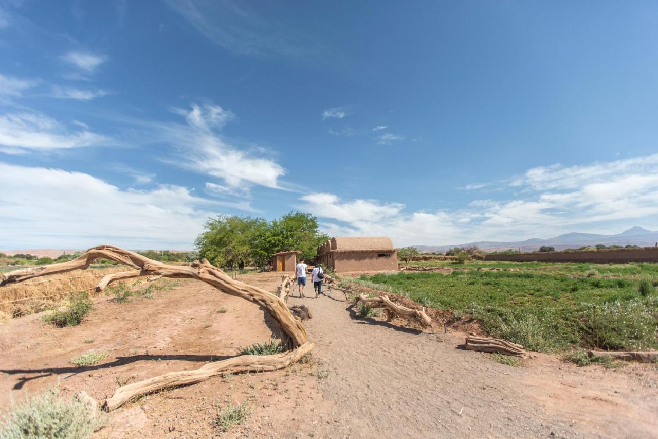 Planeta Atacama Lodge San Pedro de Atacama Eksteriør billede